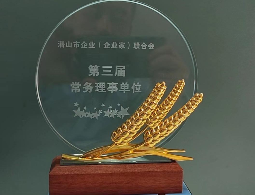 潜山市企业(企业家)联合会第三届常务理事单位